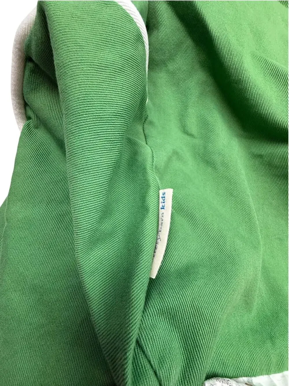 Pottery Barn Kids Green Twill Anywhere Chair slipcover Jonah